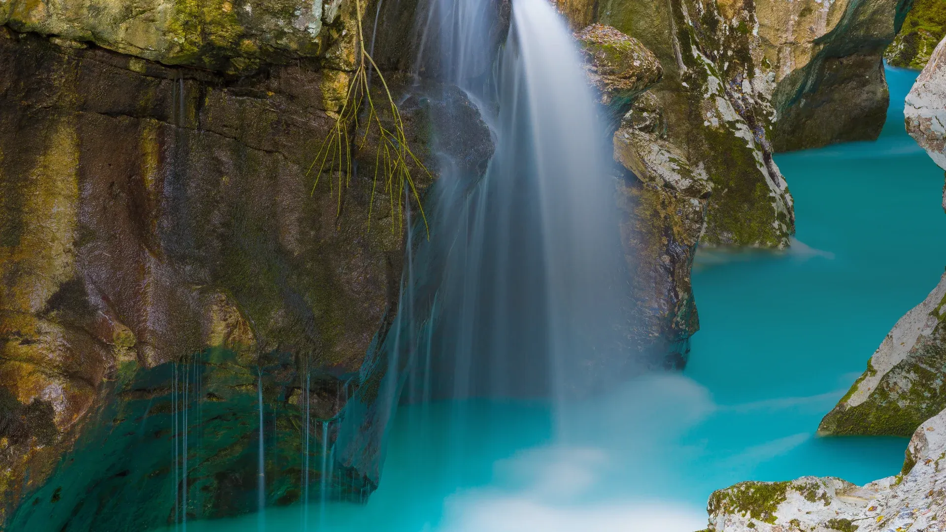 Slovenia at Expo 2025