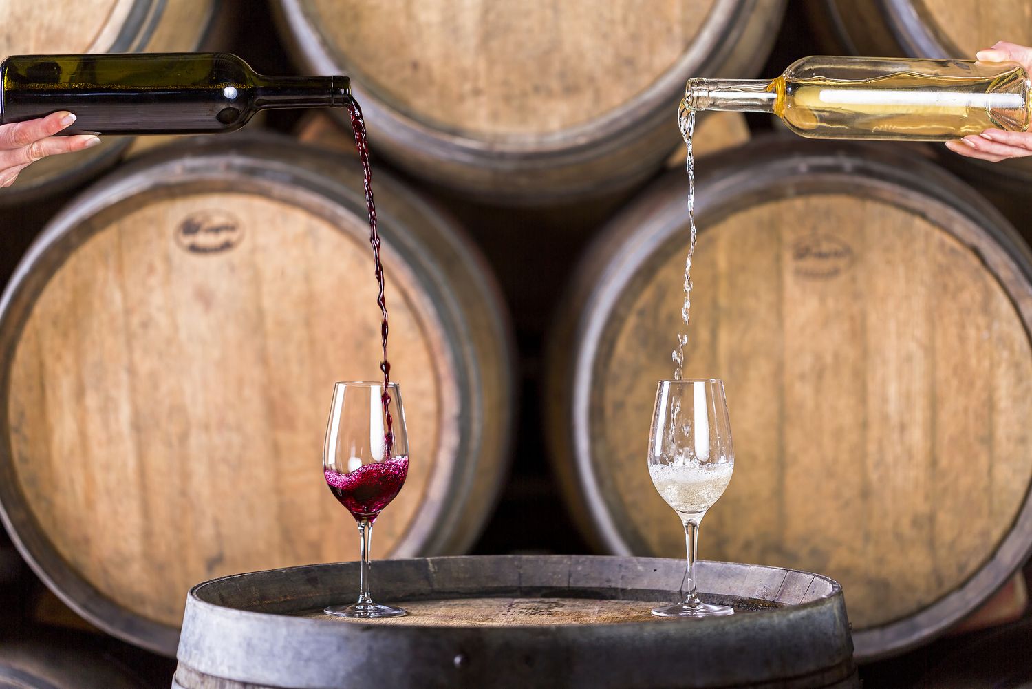 Kozarca vina z rdečim in belim vinom, v ozadju vinski sodi